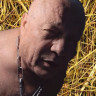 AO Zuchtbulle AO Zuchtbulle